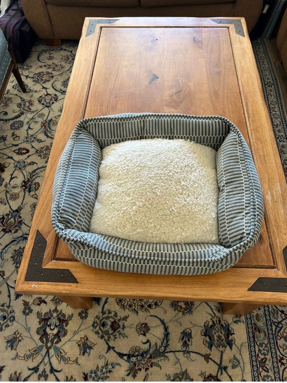 Cozy blue Stripe Square Pet Bed with Cream Sherpa Cushion